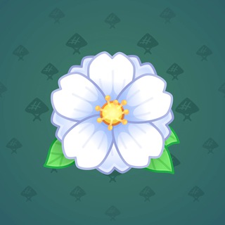 White Peony #66472
