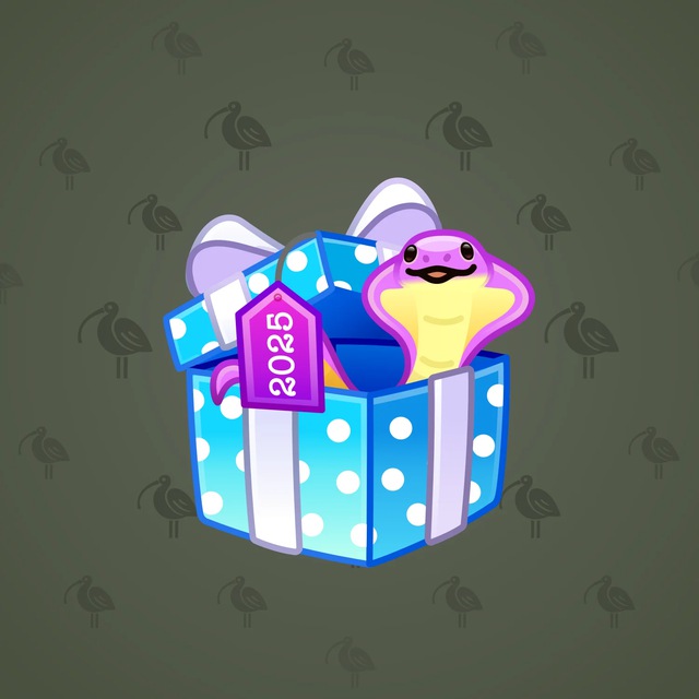 Snake Box #52945